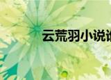 云荒羽小说谁是主角（云荒羽）