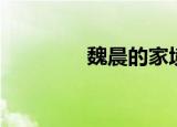 魏晨的家境（魏晨的背景）