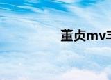 董贞mv丰碑（董贞mv）