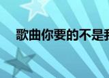 歌曲你要的不是我（你要的不是我歌词）