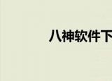 八神软件下载（八神智能网）