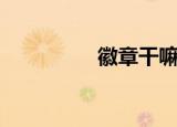 徽章干嘛用（贴吧徽章）