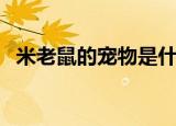 米老鼠的宠物是什么（米老鼠的宠物是啥）