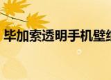 毕加索透明手机壁纸高清（毕加索透明手机）