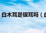 白木耳是银耳吗（白木耳和银耳是一样的吗）