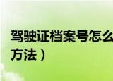 驾驶证档案号怎么查询（驾驶证档案号查询的方法）