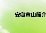 安徽黄山简介（安徽黄山的资料）