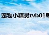 宠物小精灵tvb01粤语（宠物小精灵dp粤语）