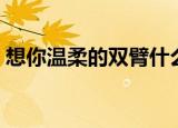 想你温柔的双臂什么意思（想你温柔的双臂）