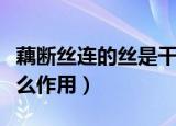 藕断丝连的丝是干什么用的（藕里面的丝是什么作用）