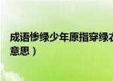成语惨绿少年原指穿绿衣服的少年现在通常指（惨绿少年的意思）