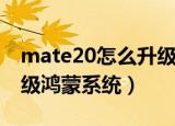 mate20怎么升级鸿蒙系统（mate20如何升级鸿蒙系统）