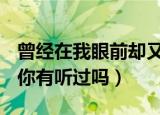 曾经在我眼前却又消失不见是哪首歌的歌词（你有听过吗）