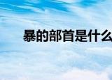 暴的部首是什么偏旁（暴的部首是日）