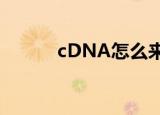 cDNA怎么来的（cdna是什么）