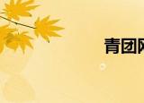 青团网（清团网）