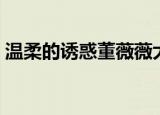 温柔的诱惑董薇薇大结局（温柔的诱惑简介）