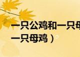 一只公鸡和一只母鸡 猜九个字（一只公鸡和一只母鸡）