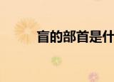 盲的部首是什么（盲的部首是目）