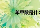 苯甲酸是什么（苯甲酸的介绍）