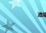池塘小马救援