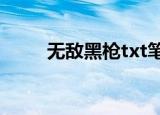 无敌黑枪txt笔下文学（黑枪小说）