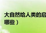 大自然给人类的启示（大自然给人类的启示有哪些）
