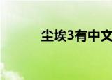 尘埃3有中文吗（尘埃3打不开）