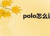 polo怎么读（polo如何读）