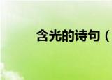 含光的诗句（有什么含光的诗句）