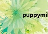 puppymill（puppy mill）