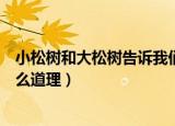 小松树和大松树告诉我们什么道理（大松树和小松树讲了什么道理）