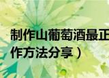制作山葡萄酒最正宗的方法（传统山葡萄酒制作方法分享）