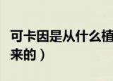 可卡因是从什么植物上提取的（可卡因是从哪来的）