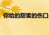 你给的甜蜜的伤口是什么歌歌词是什么意思