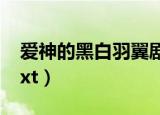 爱神的黑白羽翼剧情介绍（爱神的黑白羽翼txt）