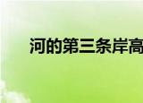 河的第三条岸高考题（河的第三条岸）
