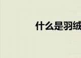 什么是羽绒棉（羽绒棉介绍）