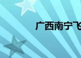 广西南宁飞机票（南宁死飞）