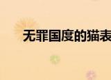 无罪国度的猫表情包（无罪国度的猫）