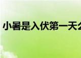 小暑是入伏第一天么（小暑是入伏第一天吗）