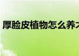 厚脸皮植物怎么养才壮（厚脸皮的养殖方法）
