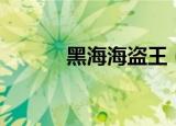 黑海海盗王（黑湾海盗中文版）
