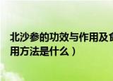 北沙参的功效与作用及食用方法（北沙参的功效与作用及食用方法是什么）