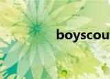 boyscouts（boyscout）