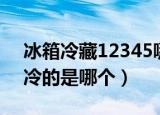 冰箱冷藏12345哪个冷（冰箱冷藏12345最冷的是哪个）