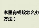 家里有蚂蚁怎么办能除根吗（家里有蚂蚁解决方法）