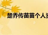 楚乔传苗苗个人资料（楚乔传苗苗简介）