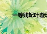 一等贱妃叶璇玑百度云（一等贱妃）