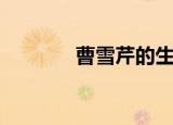 曹雪芹的生平（曹雪芹简介）